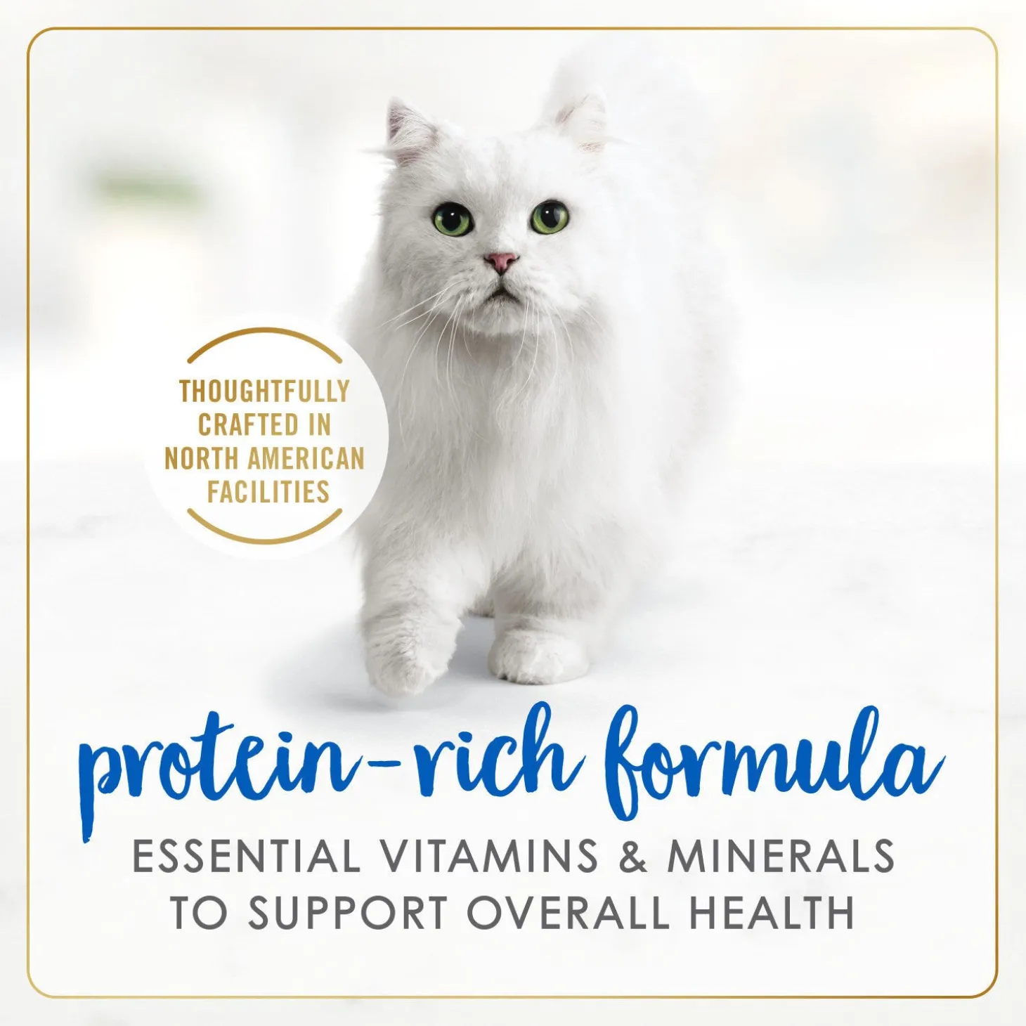 White fish and tuna wet food for adult cats