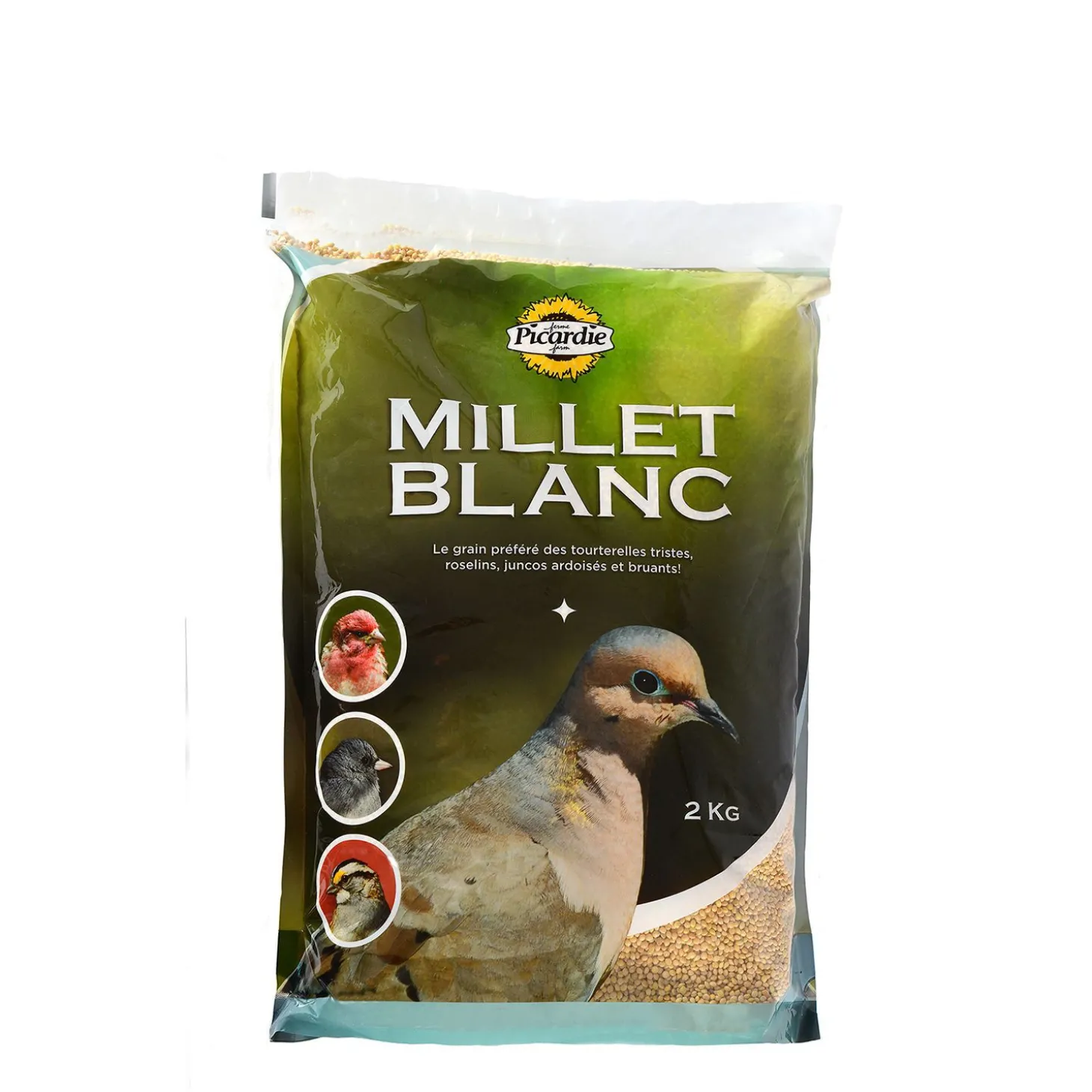 White millet food for wild birds