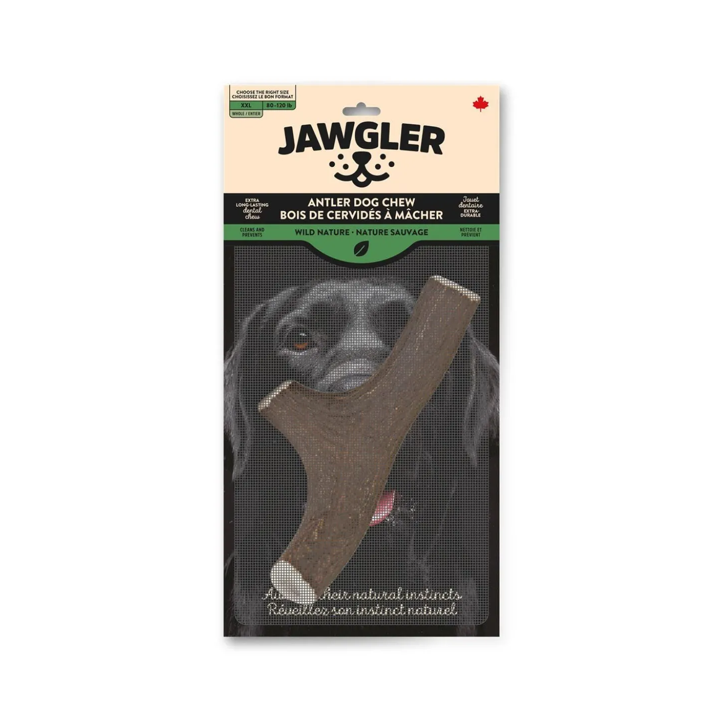Whole Antler Dog Chew, Nature