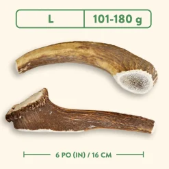 Whole Antler Dog Chew, Nature