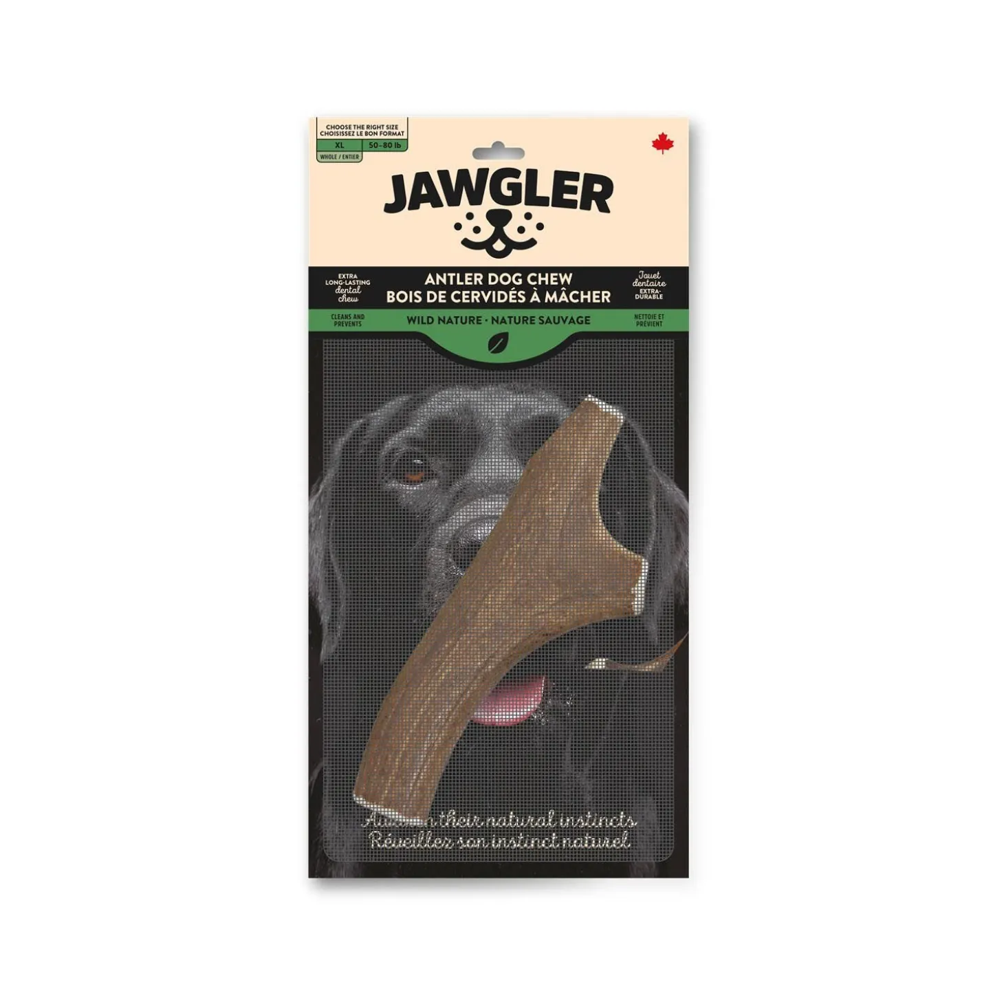 Whole Antler Dog Chew, Nature