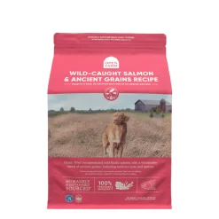 Wild-caught salmon & ancient grains dry dog food