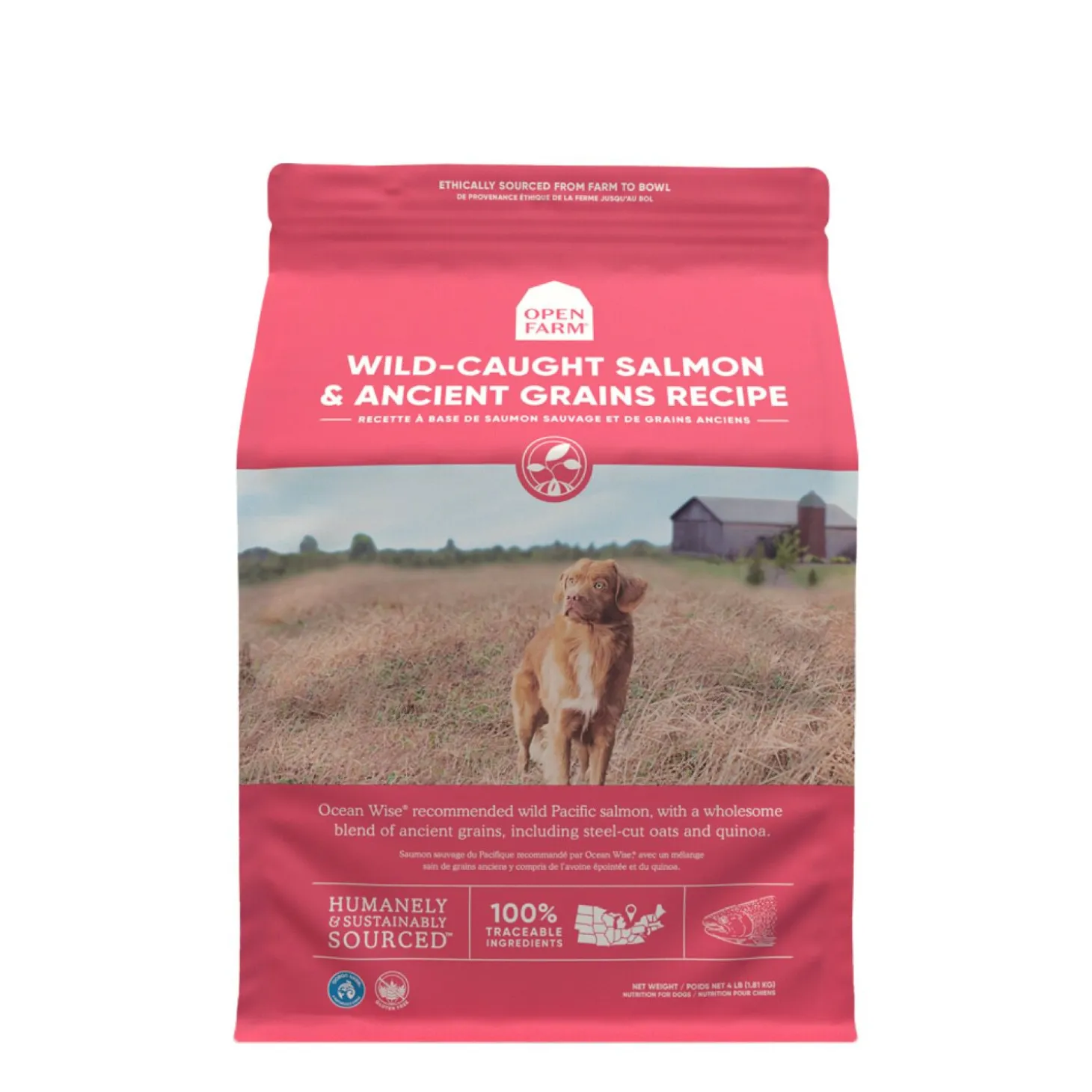 Wild-caught salmon & ancient grains dry dog food
