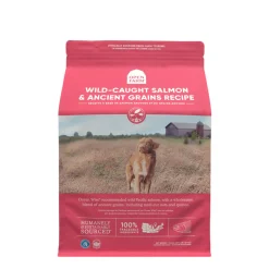 Wild-caught salmon & ancient grains dry dog food