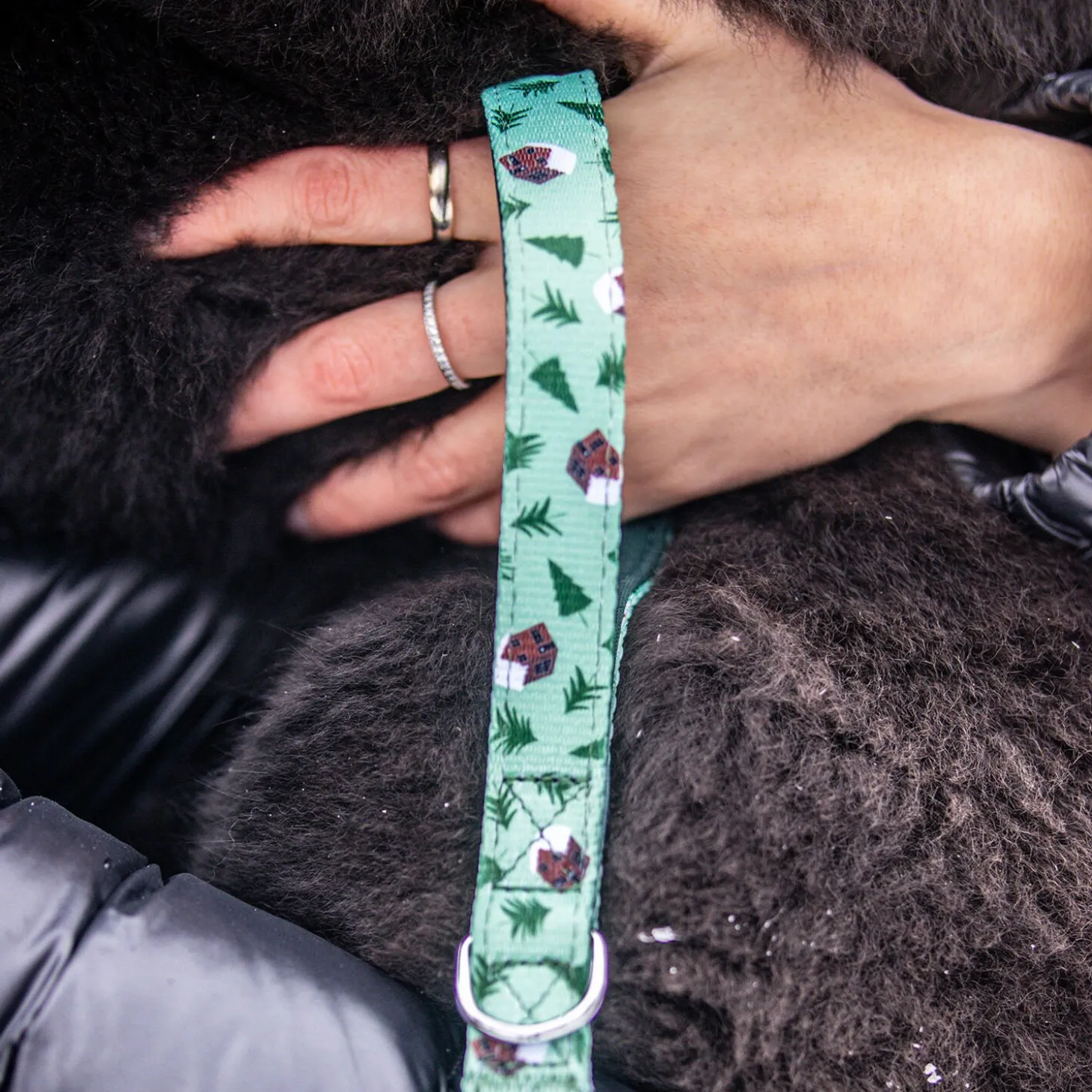 Winter Lodge Dog Leash, L