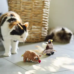 Winter Pigeon Cat Toy