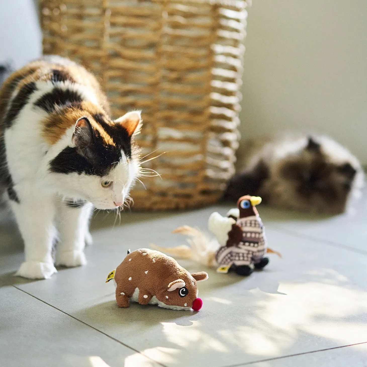 Winter Pigeon Cat Toy