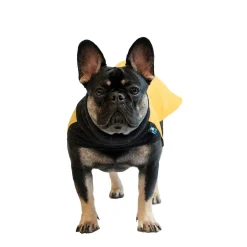 Wintertide Yellow Dog Coat, 24