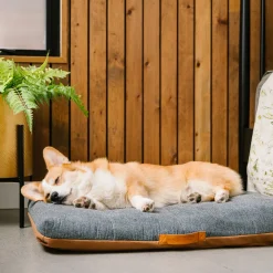 Woven and Leather Sky Bed