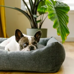 Woven Cozy Bed