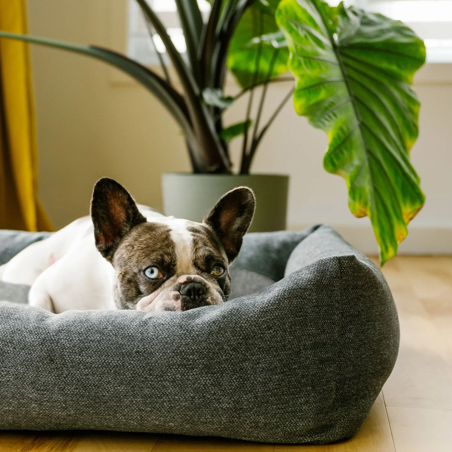 Woven Cozy Bed