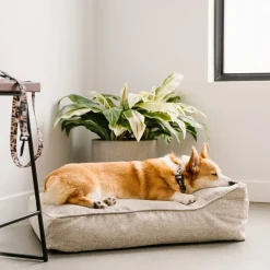 Woven Therapet Bed