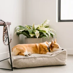 Woven Therapet Bed