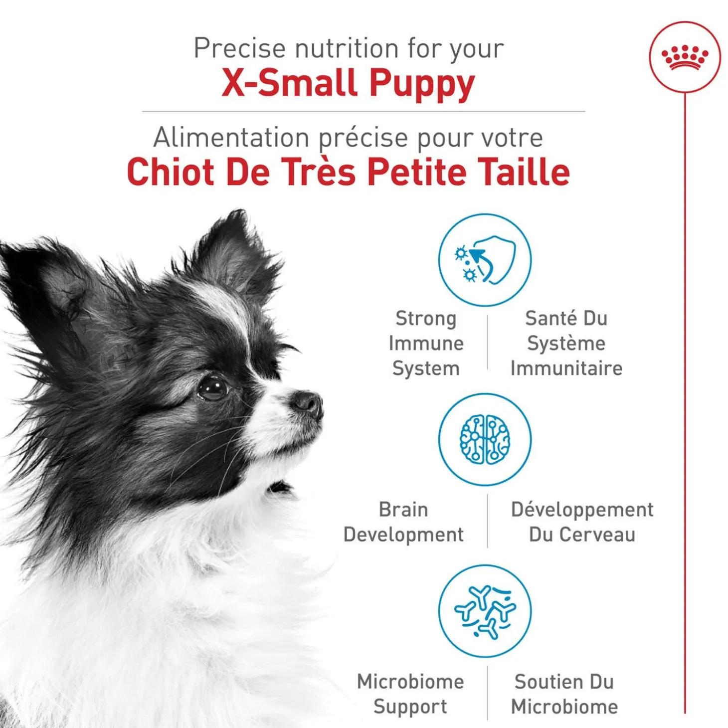 X-Small Puppy Dry Puppy Food